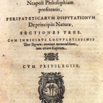 de principiis naturae